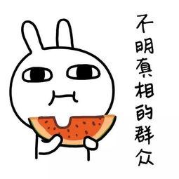 娱乐吃瓜酱找工作,跨界求职，开启新篇章