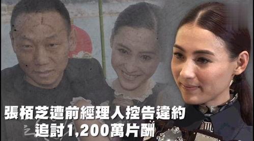 娱乐杂谈吃瓜